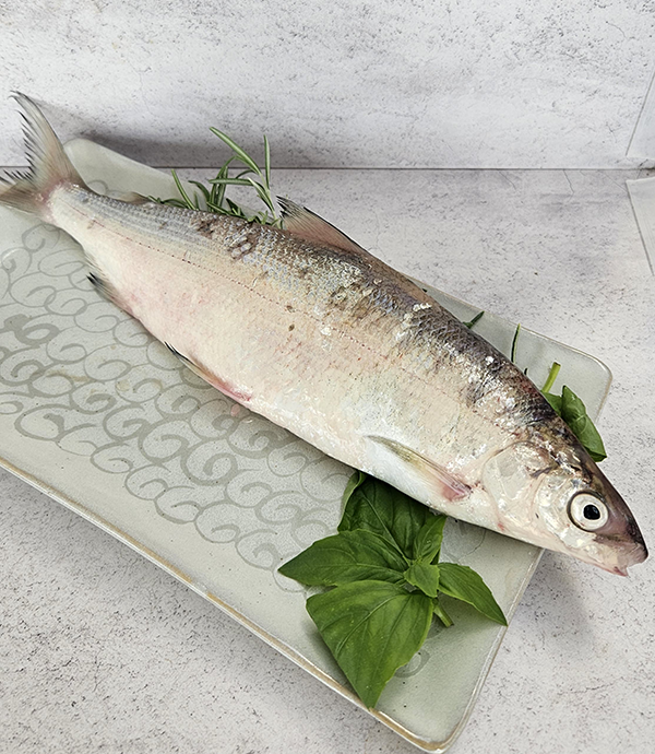 Pesce di lago per la ristorazione: pesci interi, filetti e tranci GOURMARE