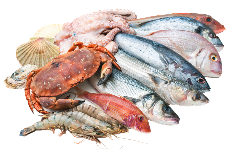 Promozioni Pesce per la Ristorazione