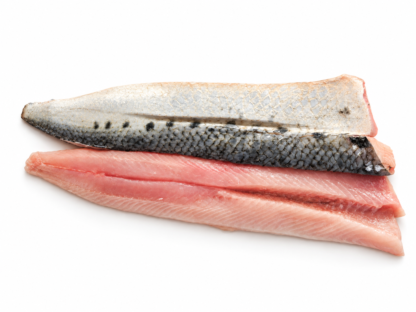 Filetto di agone pescato nel Lago d'Iseo