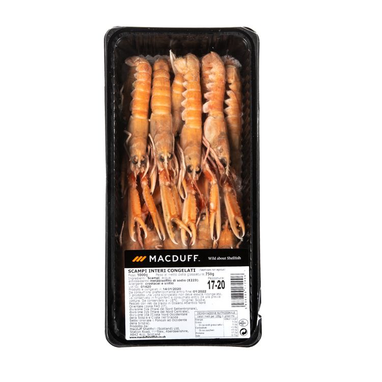Scampi 13/16 800gr