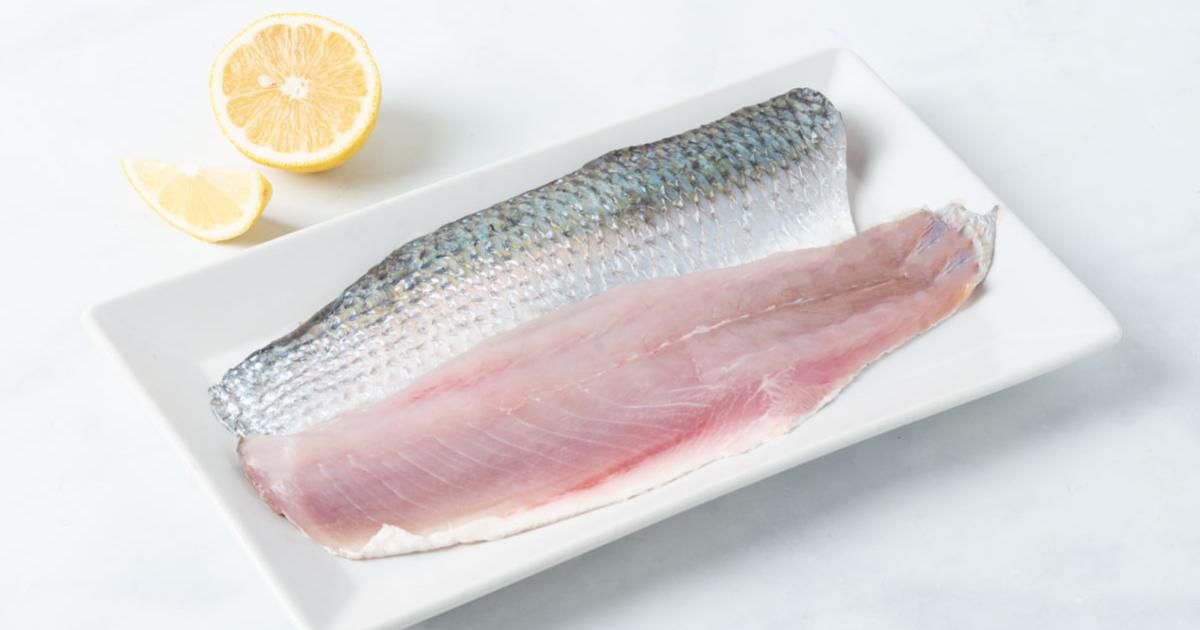 Filetto di Cefalo o Muggine dell'Adriatico