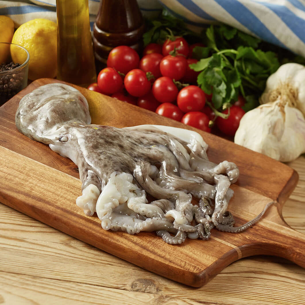 Moscardino Mediterraneo