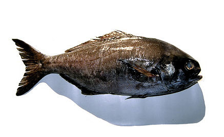 Centrofolo Viola 5/10kg sfilettato ed abbattuto